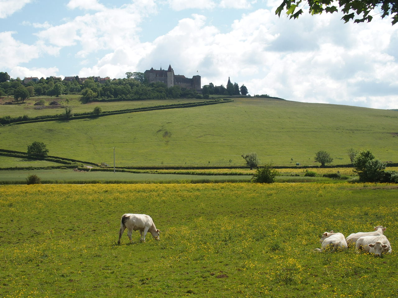 Aucune photo pour cette étape.